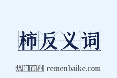 柿反义词是什么意思的图片